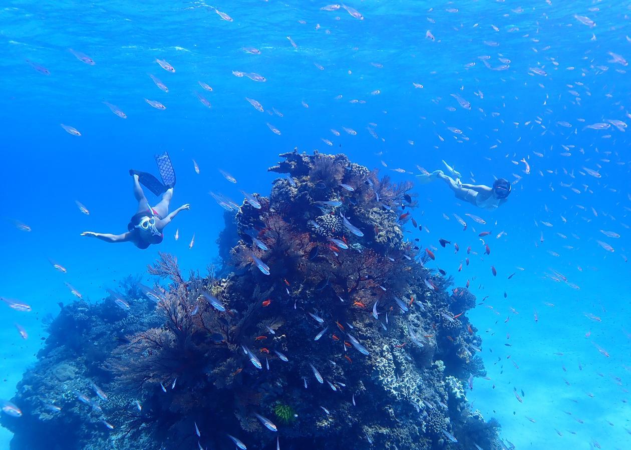 Ishigakijima Sunflower House Ishigaki  Екстериор снимка